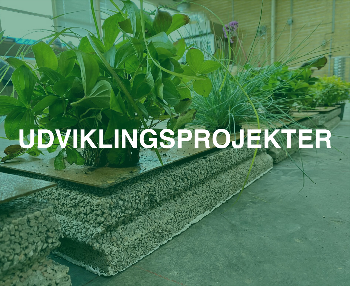UDVIKLINGSPROJEKTER