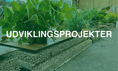 UDVIKLINGSPROJEKTER UDVIKLINGSPROJEKTER