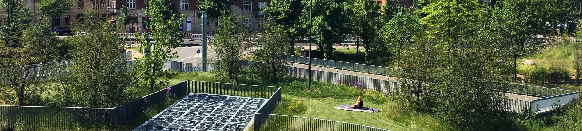 LetVext växtsubstrat för tak och bjälklag.jpg