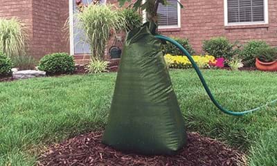 Vandingspose Traeer 1182X688px Vandingspose Traeer 1182X688px