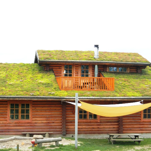 Diacel Groent Tag 900X900px2