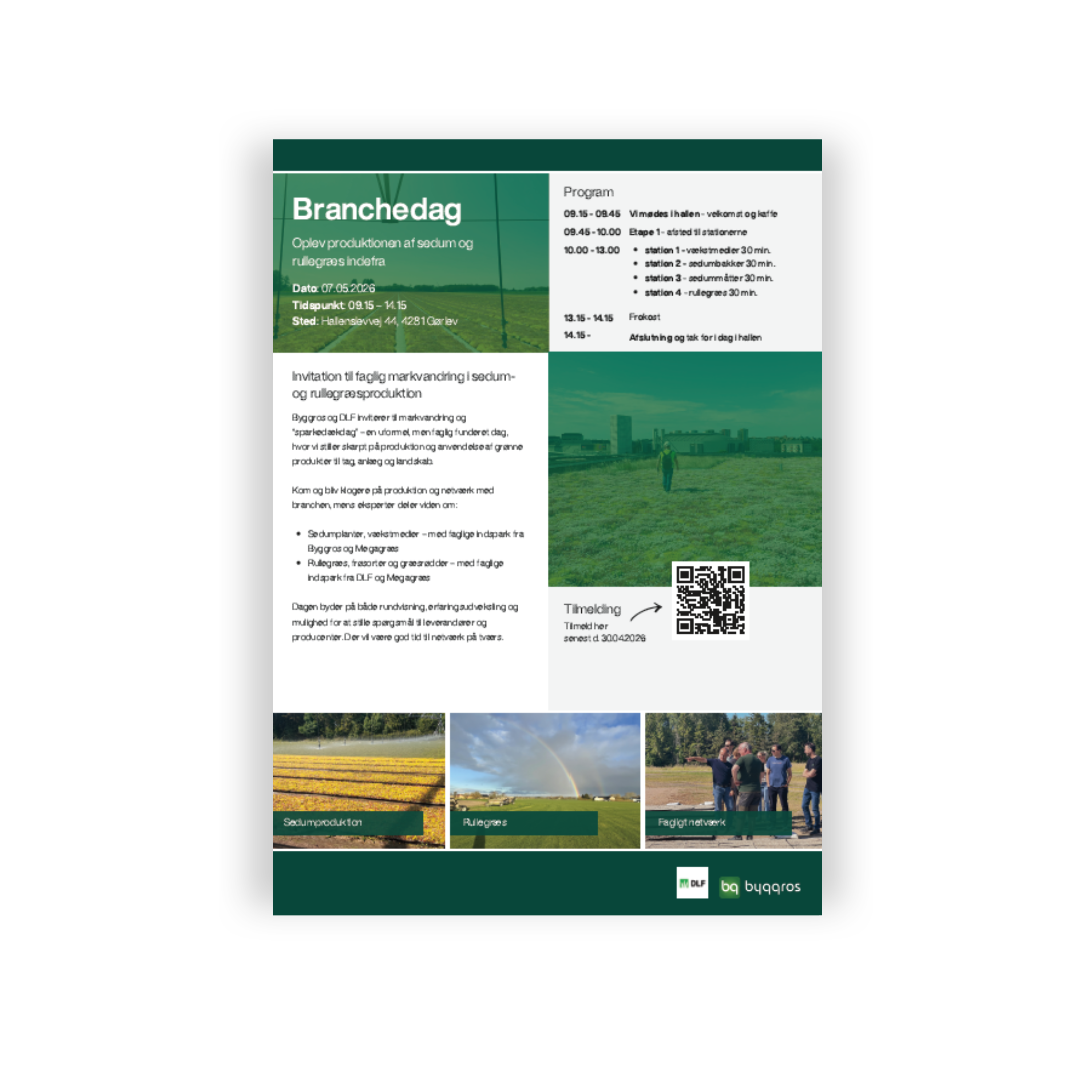 Sedumproduktion Byggros