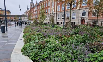 20231003 114435 20231003 114435