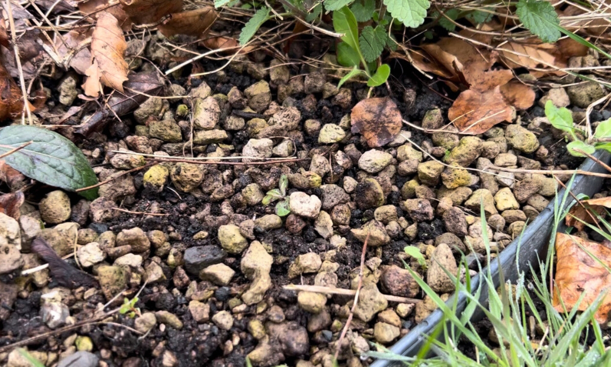 BG Byggros Vækstmedier