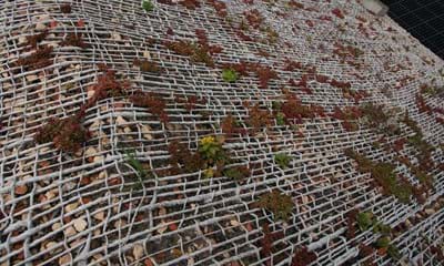 Jutenet 1182X688px Jutenet 1182X688px