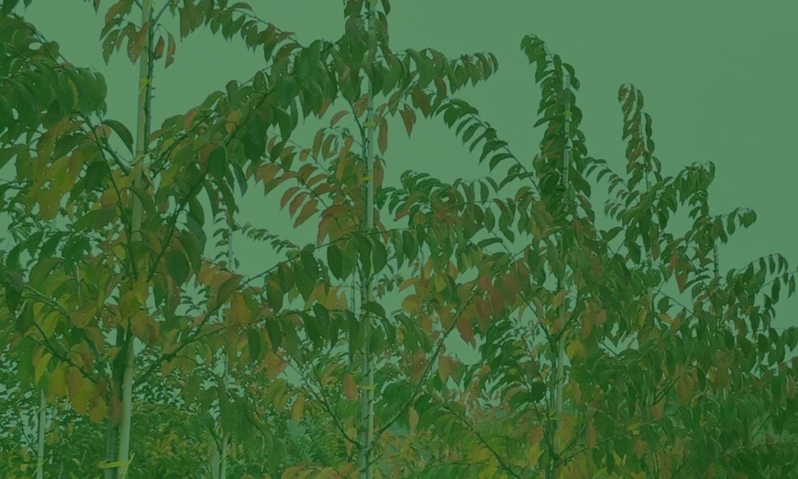 Temadag Efterår Temadag Efterår