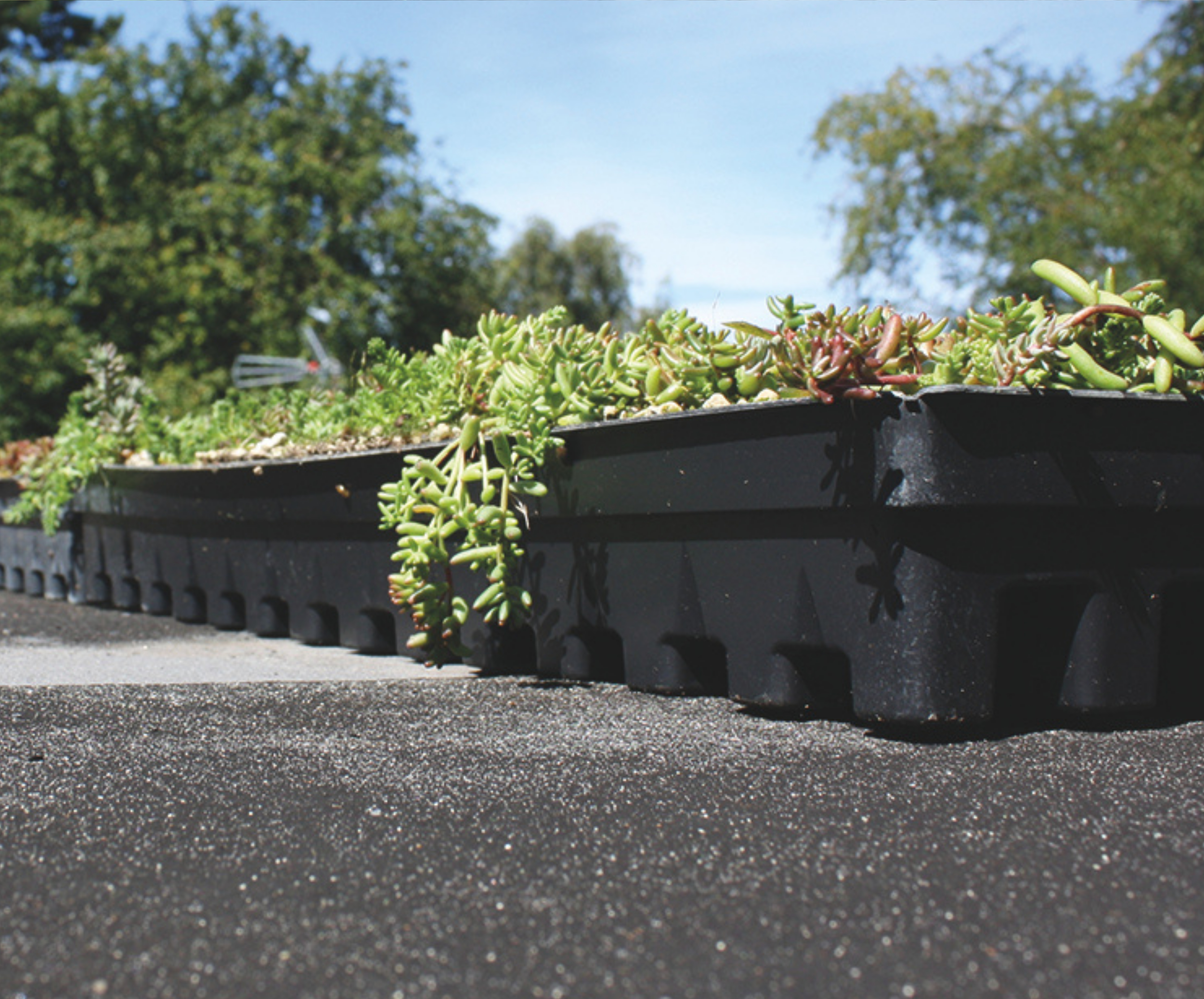 Bgreen It Sedumbakke