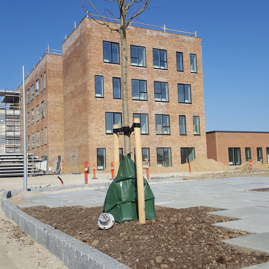 Silva Cell 2 1 900X900px