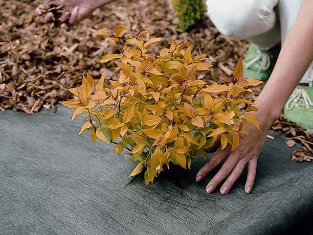 Plantex Patio Belaegningsdug 900X900px Plantex Patio Belaegningsdug 900X900px