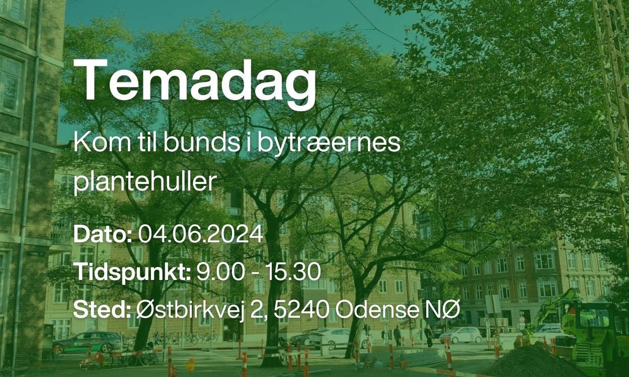 Temadag Kom Til Bunds I Bytræernes Plantehuller 01