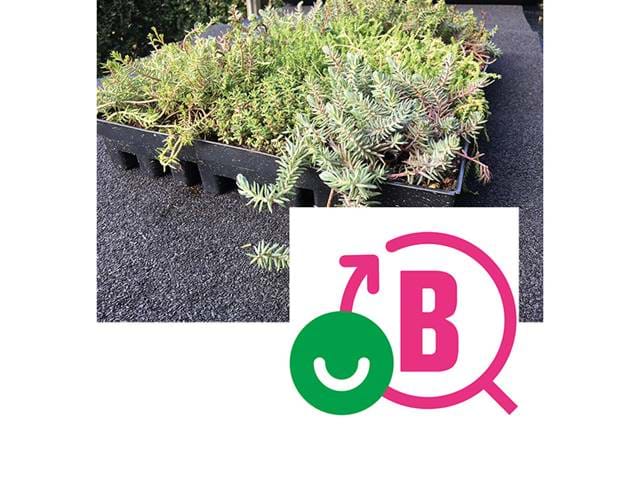 Sedumbackar Byggvarumbedömningen Sedumbackar Byggvarumbedömningen