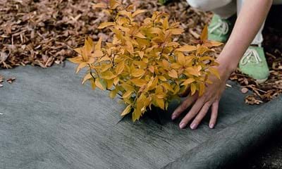 Plantex Patio Belaegningsdug 1182X688px Plantex Patio Belaegningsdug 1182X688px