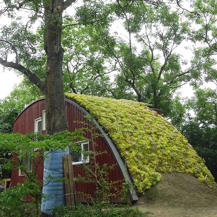 Diacel Groent Tag 900X900px