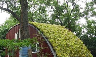 Diacel Groent Tag 900X900px Diacel Groent Tag 900X900px