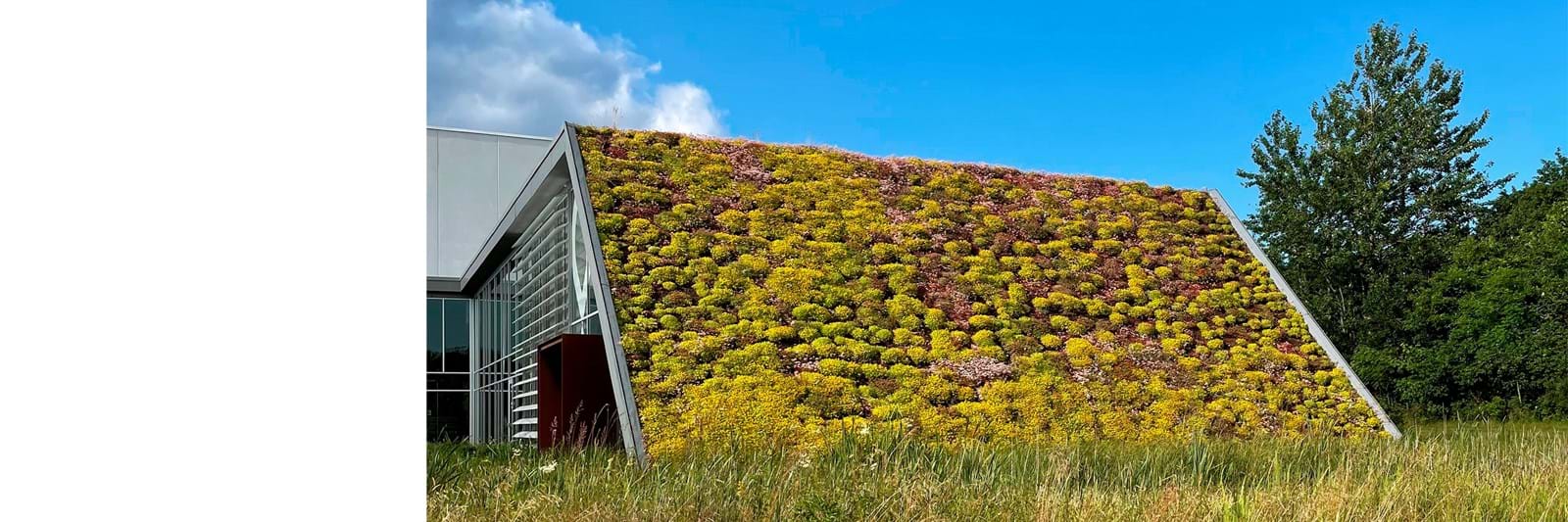 Diacell Lambæk Vandværk 3000X1000px Diacell Lambæk Vandværk 3000X1000px