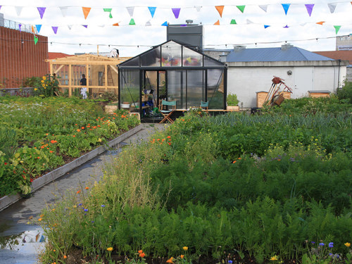 Billede 2: Jordbunden i højbedene sikrer optimale vækstbetingelser for blomster og grøntsager