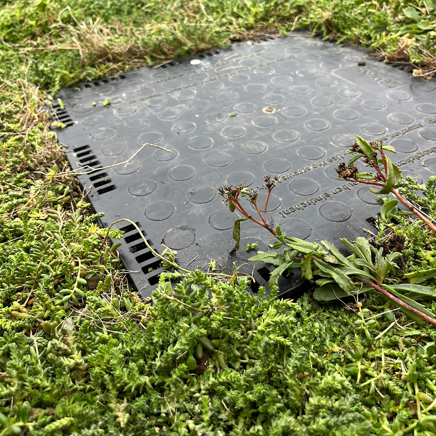 BG Inspektionsbokse 2