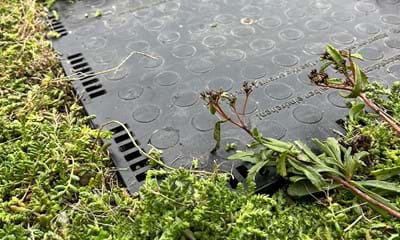 BG Inspektionsbokse 2 BG Inspektionsbokse 2