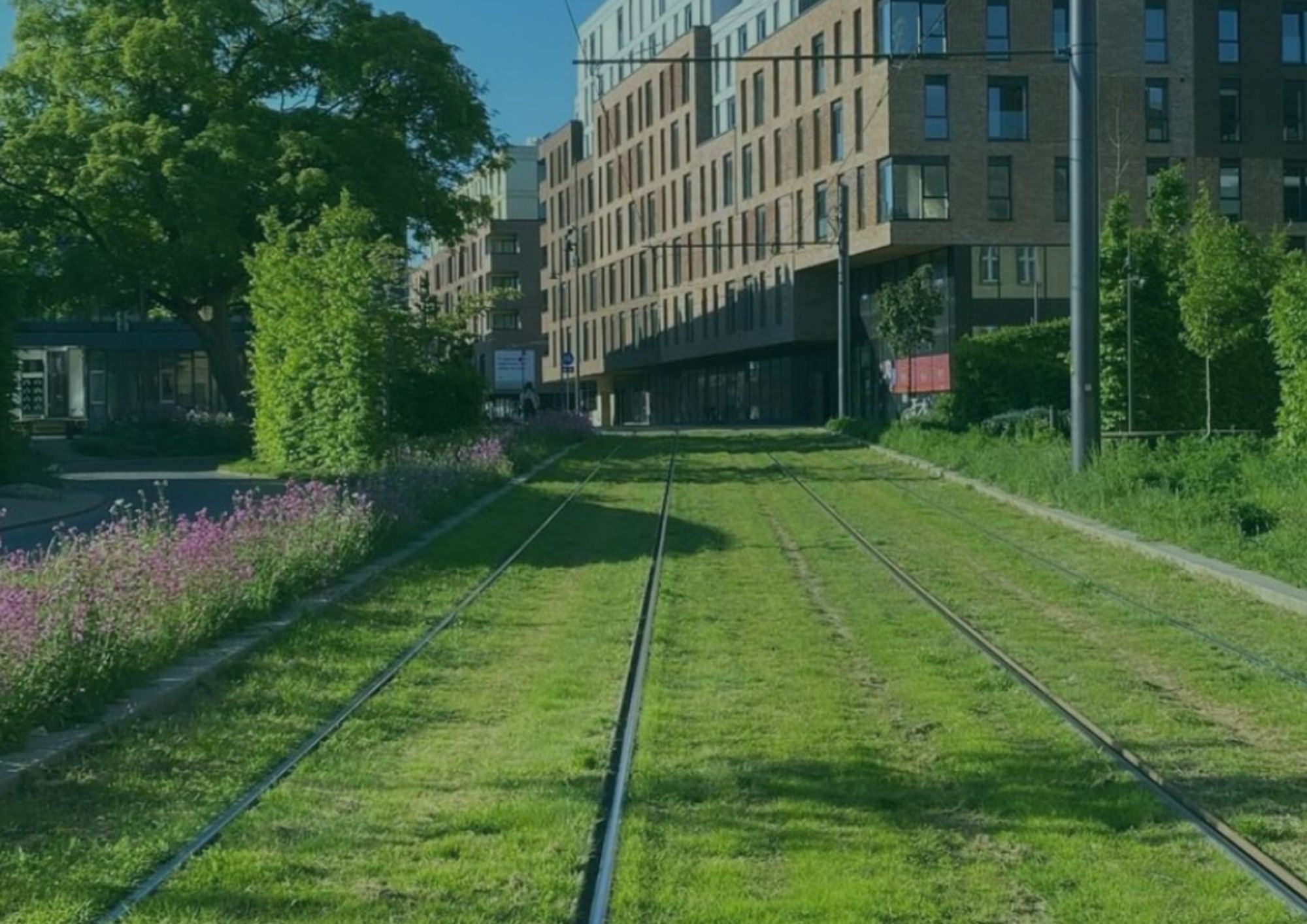 Odense Letbane - vækstmedier fra BG Group