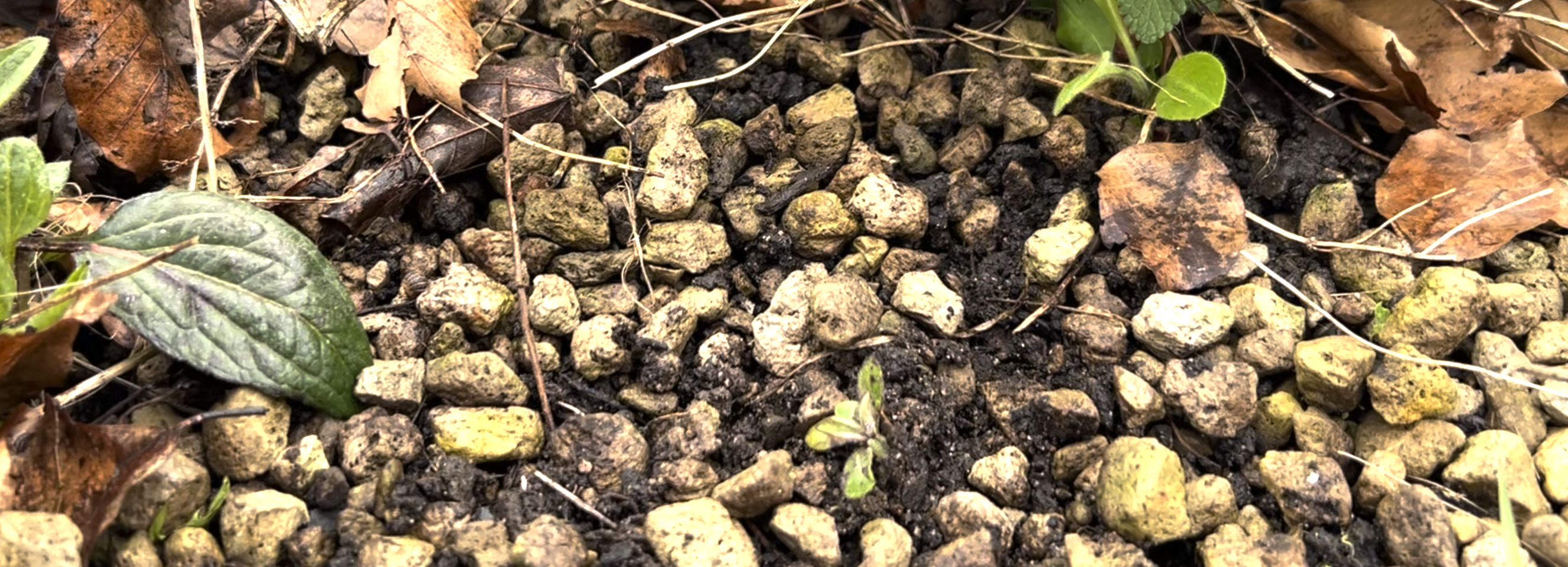 Skærmbillede 2024 06 07 Kl. 11.19.13