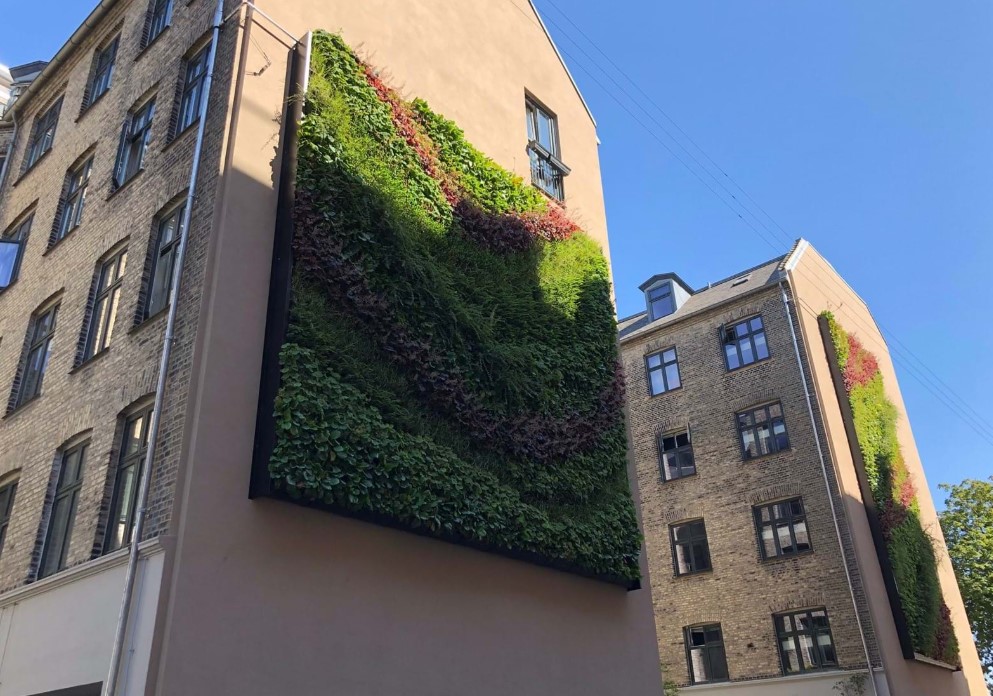 Gröna Växtväggar BG Byggros