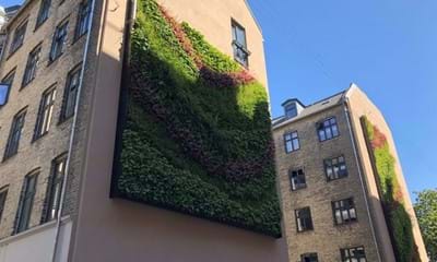 Gröna Växtväggar BG Byggros Gröna Växtväggar BG Byggros
