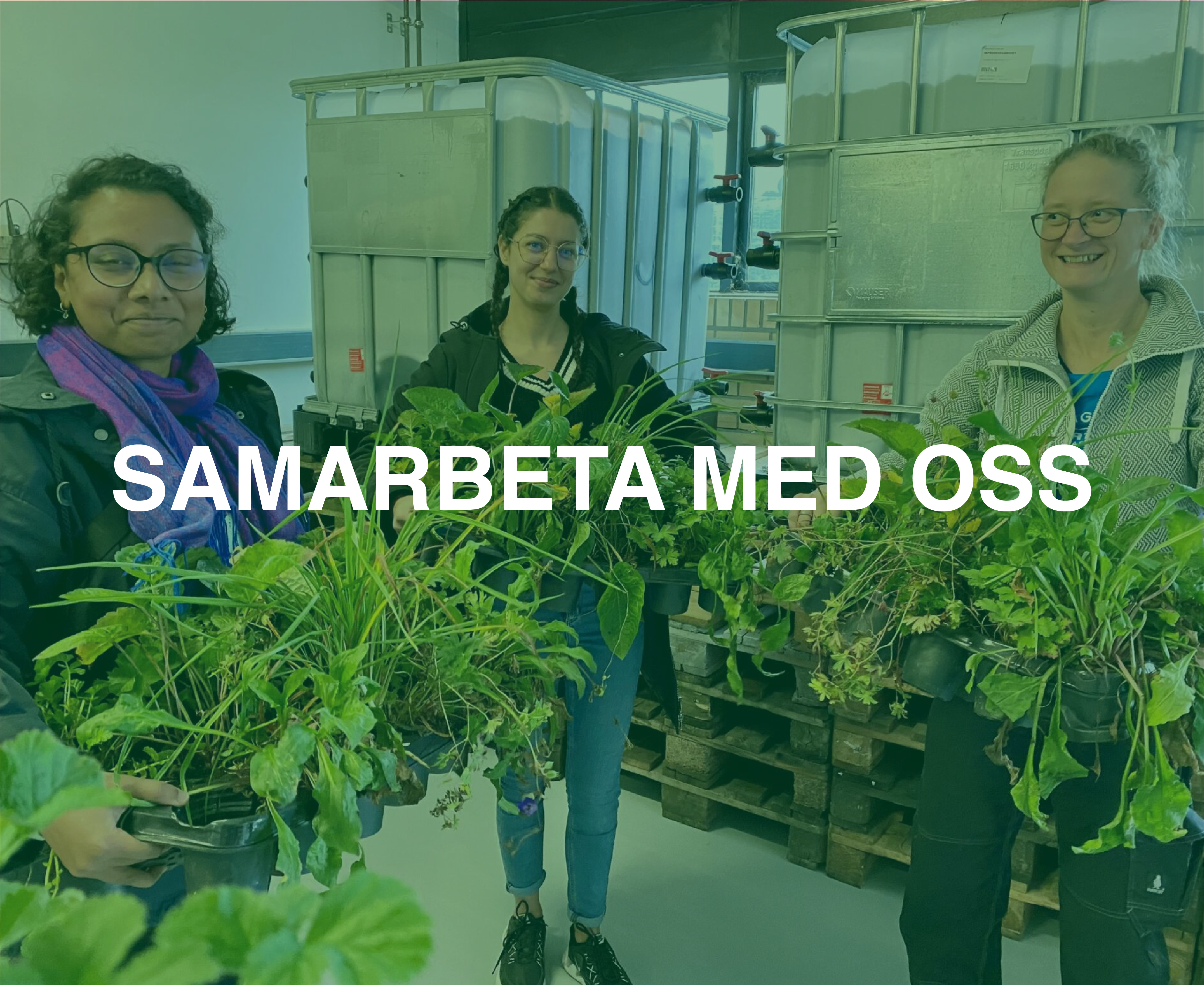 Samarbeta Med Oss
