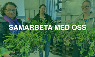 Samarbeta Med Oss Samarbeta Med Oss