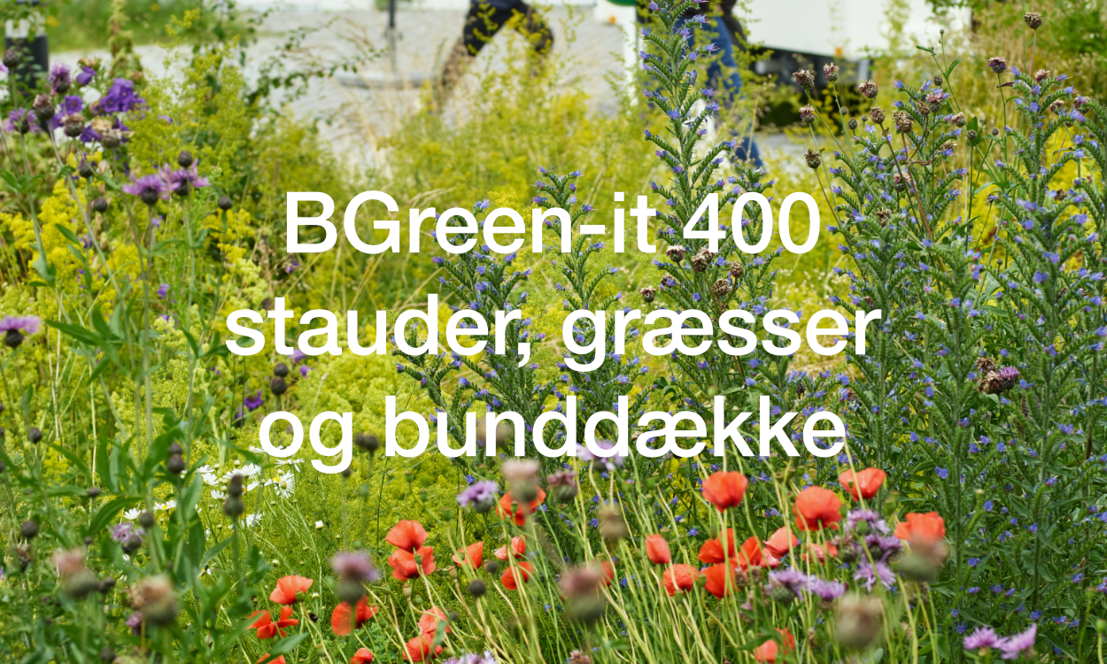 Umbraco.Cms.Core.Models.MediaWithCrops`1[Byggros.Website.Models.ContentModels.Image]