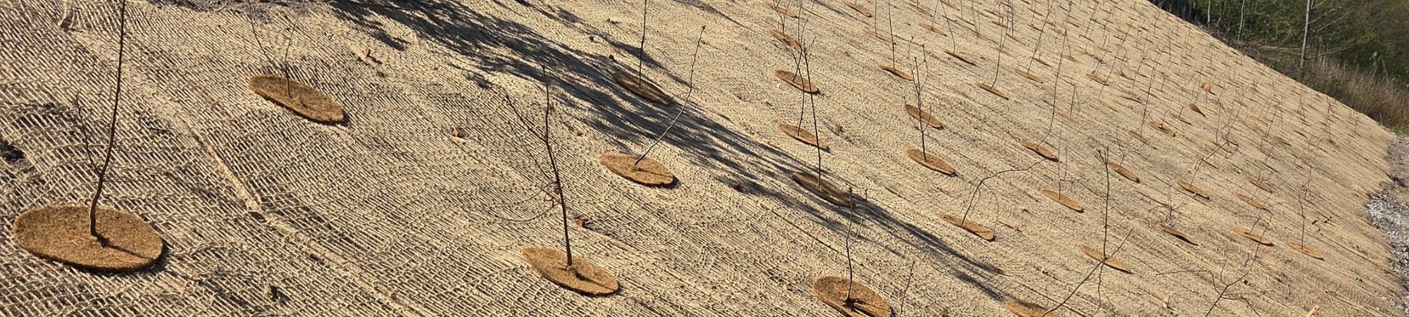 Biologisk nedbrydelig erosionssikring og ukrudtskontrol.jpg