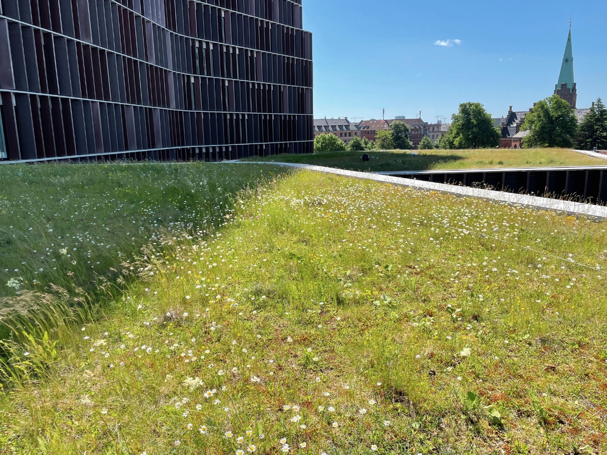 Umbraco.Cms.Core.Models.MediaWithCrops`1[Byggros.Website.Models.ContentModels.Image]