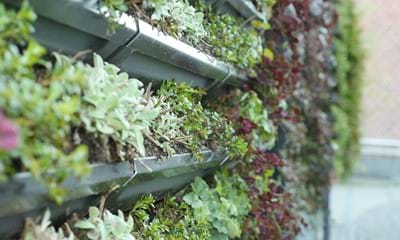 6855Edd7 Bf8b 49C5 B603 E95c965de598 6855Edd7 Bf8b 49C5 B603 E95c965de598