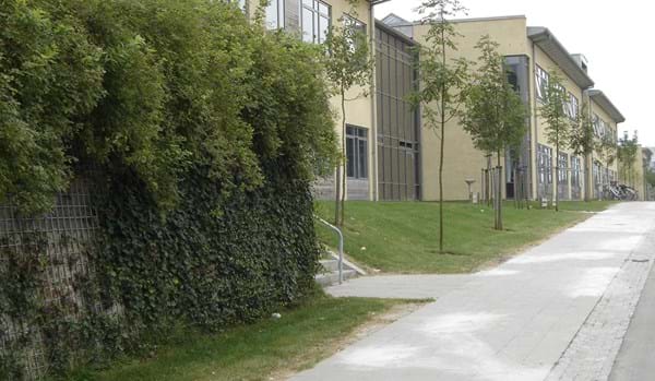 Vector Wallgroen 1182X688px Vector Wallgroen 1182X688px