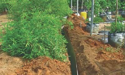 Rootbarrier Rootbarrier