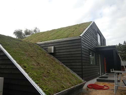 Stejlt grønt tag med Diacell sedum på sommerhus ved Råpgeleje