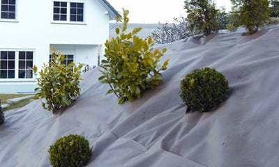 Plantex Gold 1182X688px 2 Plantex Gold 1182X688px 2