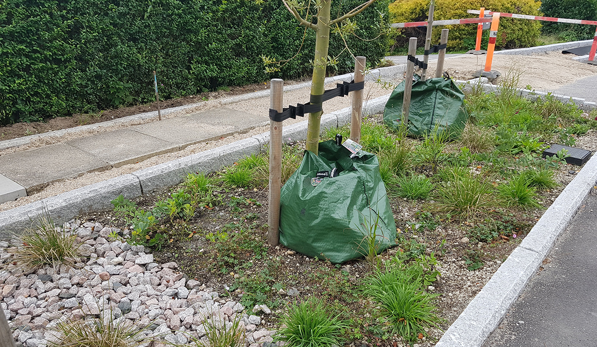 Filter Vext 1182X688