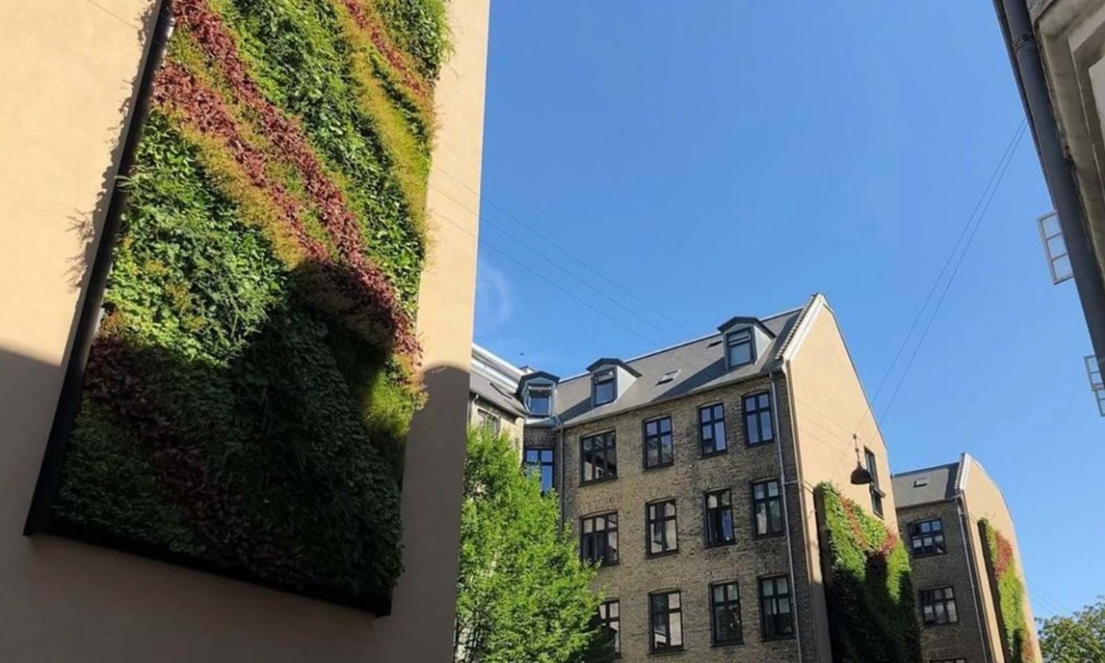 BG Byggros Living Wall (2) BG Byggros Living Wall (2)