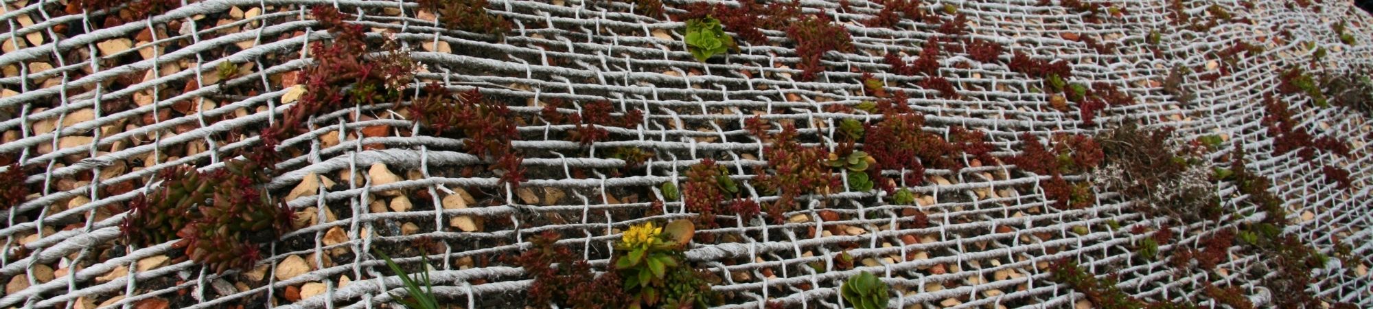 Biologisk nedbrydelig erosionssikring og ukrudtskontrol - Byggros.jpg