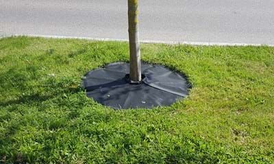 Ukrudtsskoertx1182x688 Ukrudtsskoertx1182x688