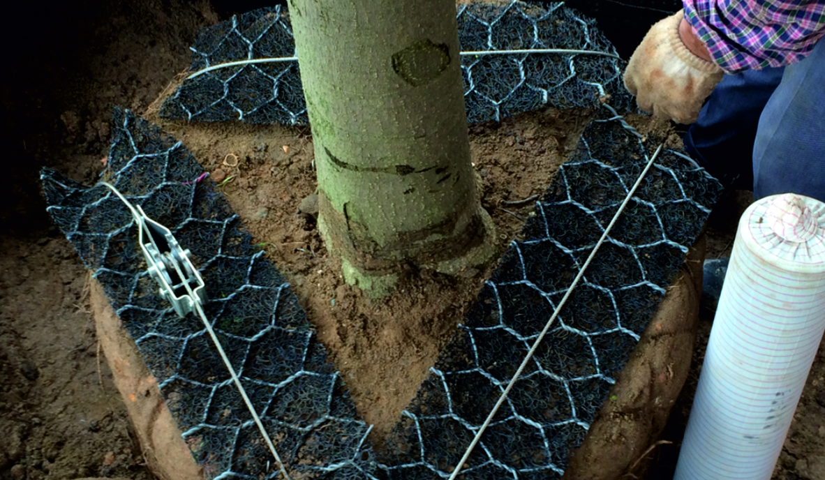 Traeforankring 1182X688