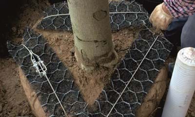 Traeforankring 1182X688 Traeforankring 1182X688