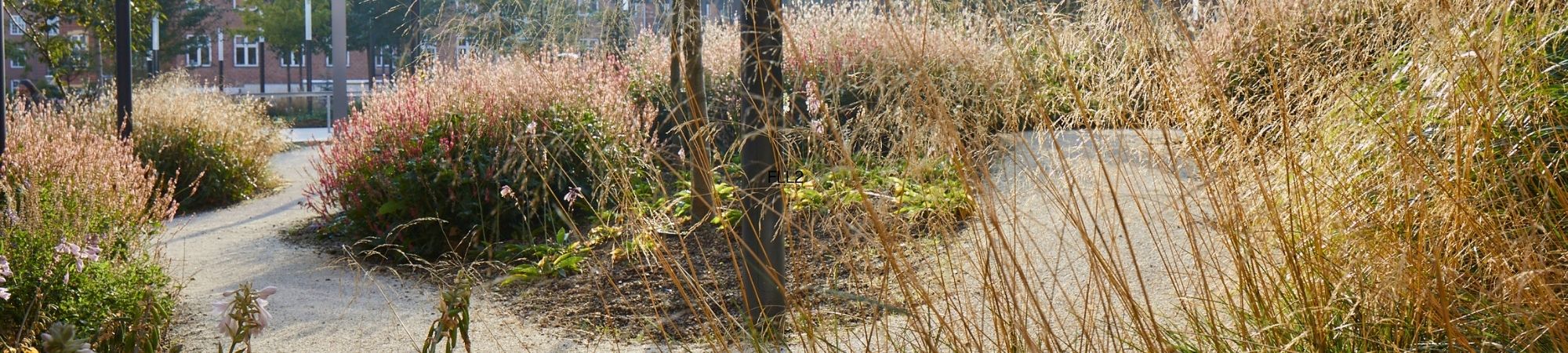 CityVext FLL 1 til åbne plantehuller i terræn - Byggros.jpg