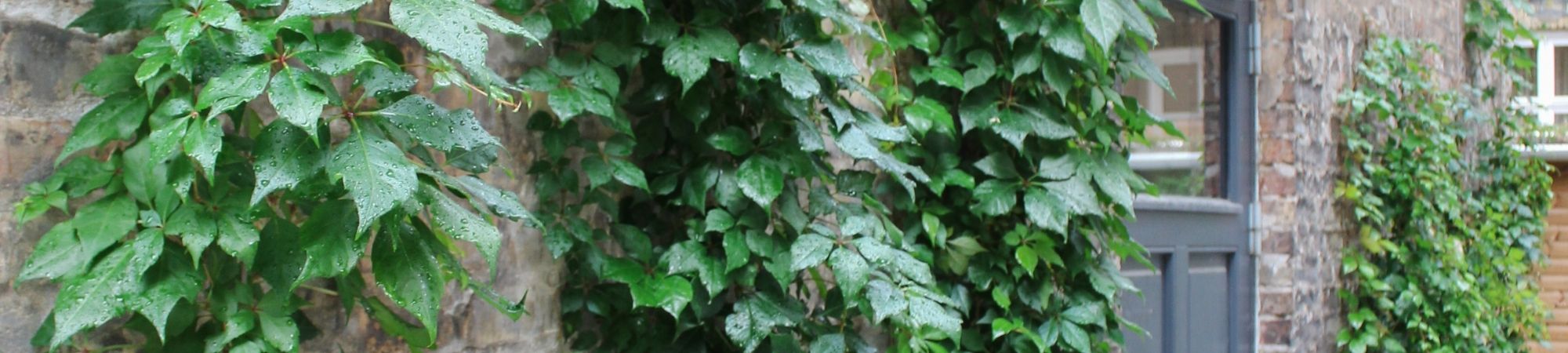 BGreen-it Wire - Byggros.jpg