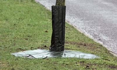 Saltbeskytter 1182X688 Saltbeskytter 1182X688