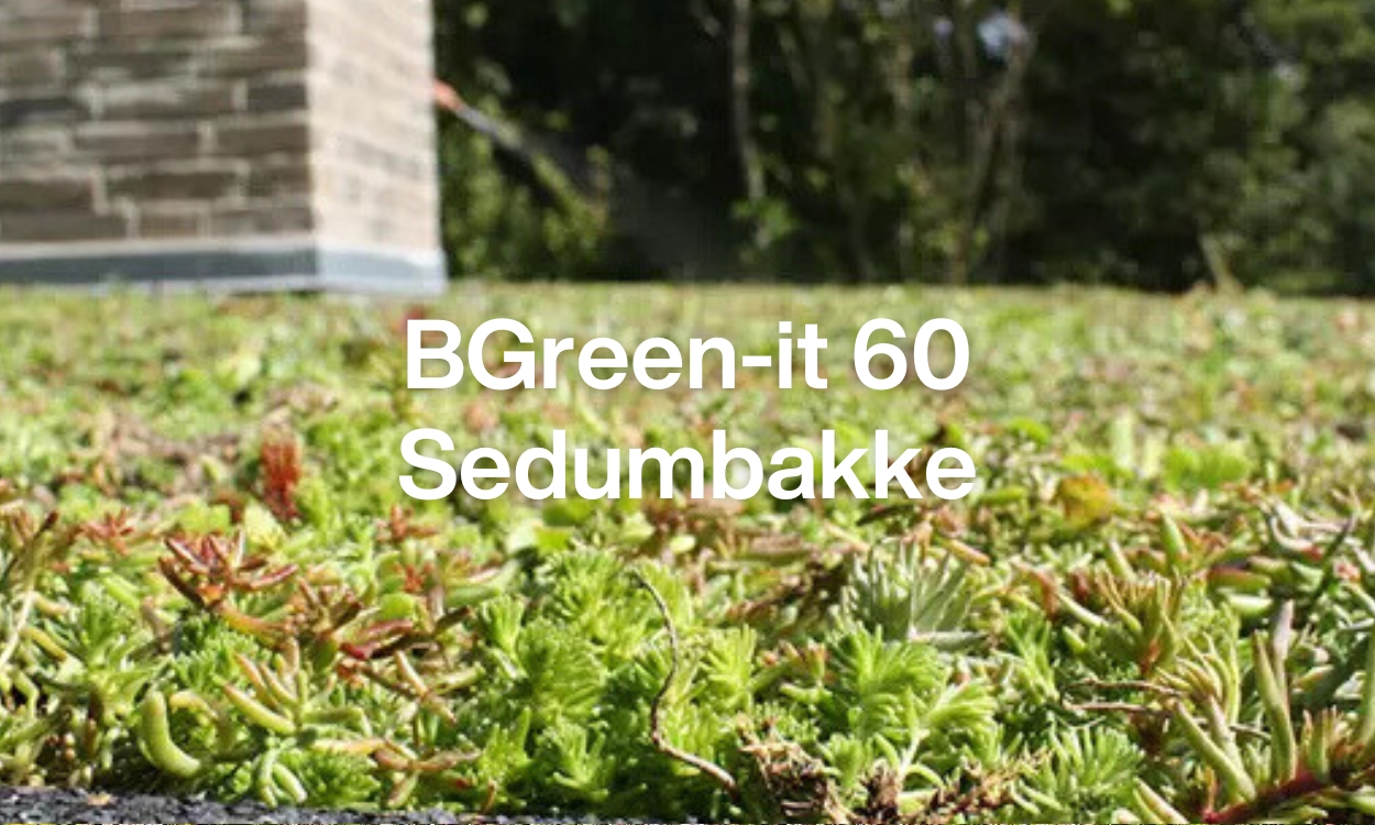 Umbraco.Cms.Core.Models.MediaWithCrops`1[Byggros.Website.Models.ContentModels.Image]