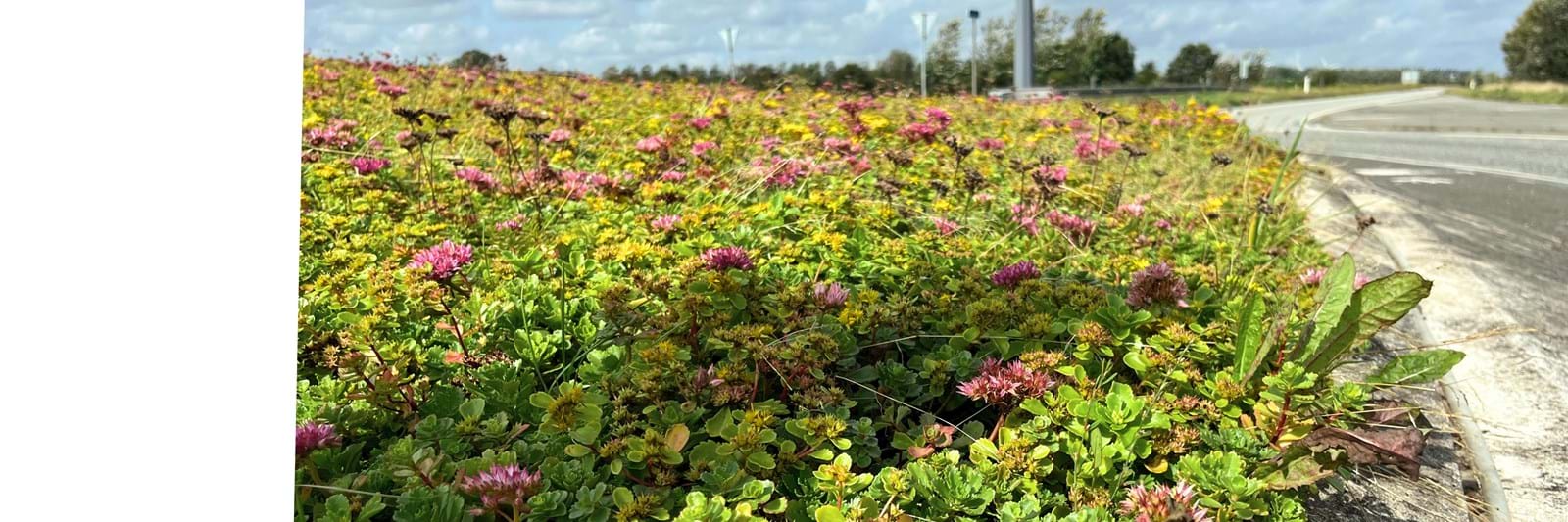 Bgreen It Terrænsedum Rundkørsel 1 Bgreen It Terrænsedum Rundkørsel 1