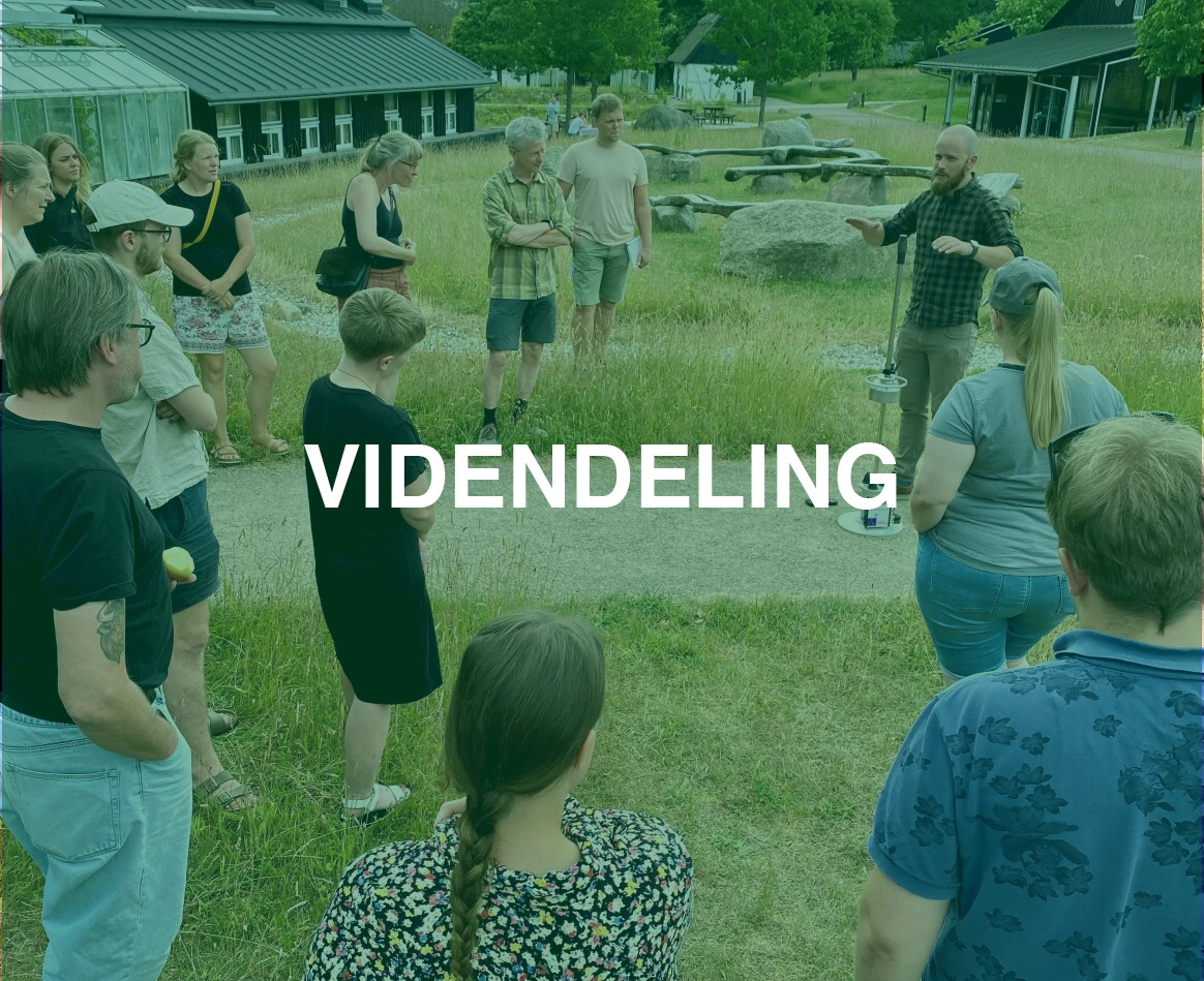 VIDENDELING