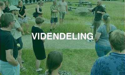 VIDENDELING VIDENDELING