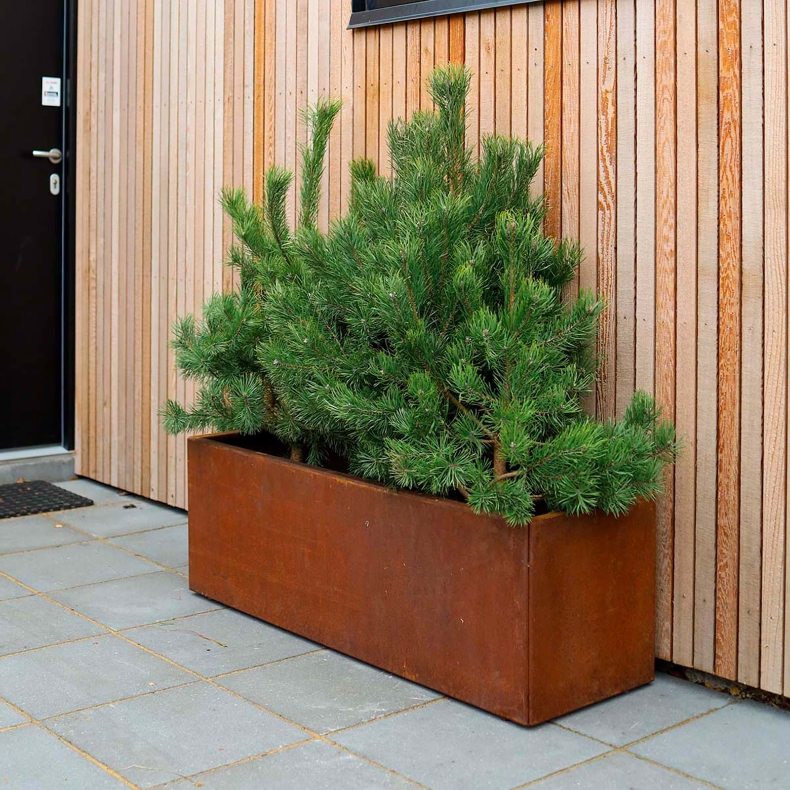 Land Modern Plantekasse I Cortenstaal 40X120 Cm Ved Hoveddoeren Land Modern Plantekasse I Cortenstaal 40X120 Cm Ved Hoveddoeren